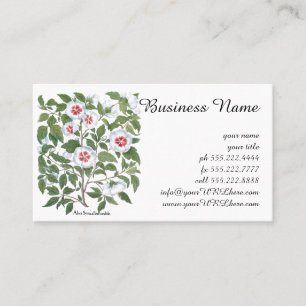 Vintage Hibiscus Flowers by Basilius Besler Business Card