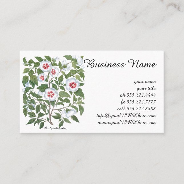 Vintage Hibiscus Flowers by Basilius Besler Business Card (Front)