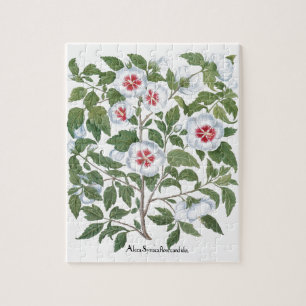 Vintage Hibiscus Flowers by Basilius Besler Jigsaw Puzzle