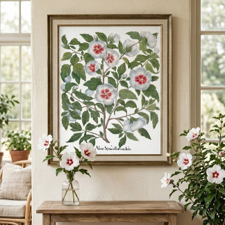 Vintage Hibiscus Flowers by Basilius Besler Poster