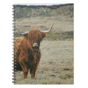 VINTAGE HIGHLAND CATTLE COW PHOTO NOTEBOOK