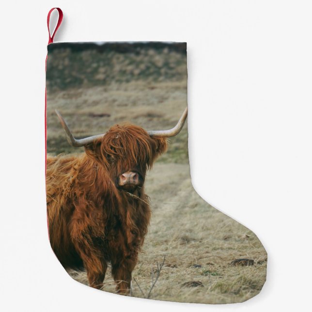 VINTAGE HIGHLAND CATTLE COW PHOTO SMALL CHRISTMAS STOCKING (Front)