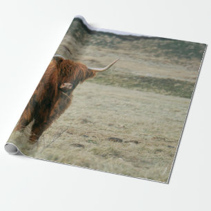 VINTAGE HIGHLAND CATTLE COW PHOTO WRAPPING PAPER