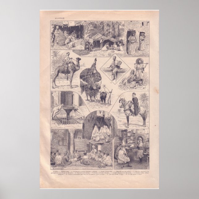 VIntage historic 1920  Algeria Poster (Front)