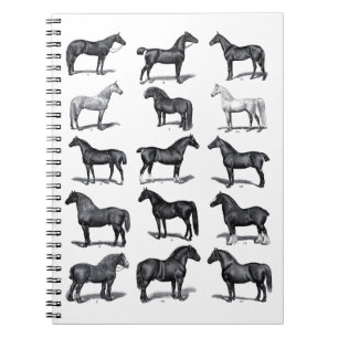 Vintage historic horse illustration notebook