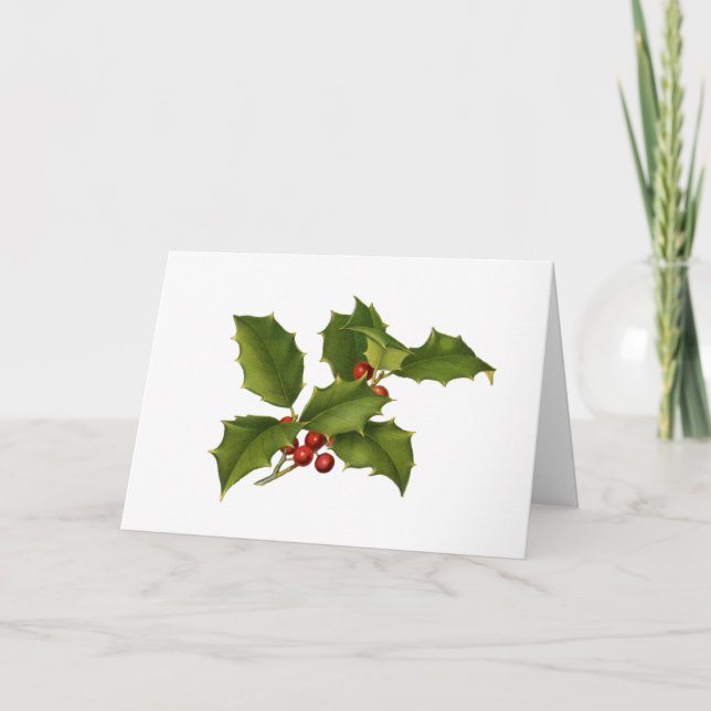 Vintage Holly Branch Holiday Card (Front)