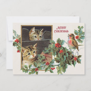 Vintage holly cats and bird christmas holiday card