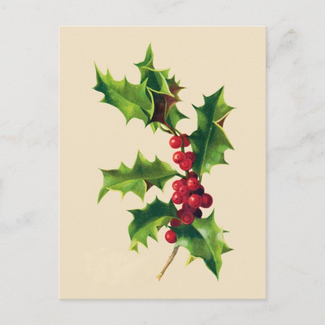 Vintage Holly Christmas Greeting card (Front)
