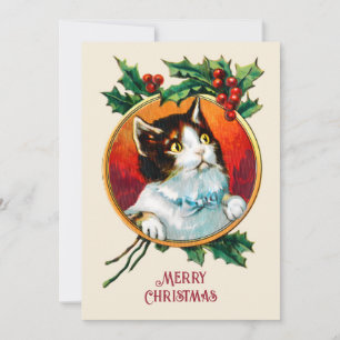 Vintage holly cute cat christmas holiday card