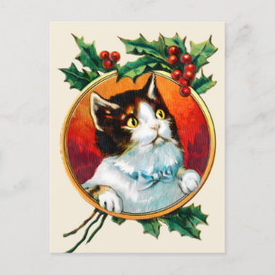 Vintage holly cute cat christmas holiday postcard