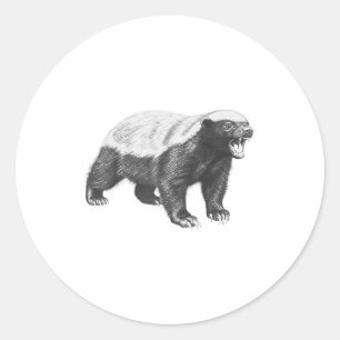 Vintage Honey Badger Drawing Realistic Wildlife An Classic Round Sticker