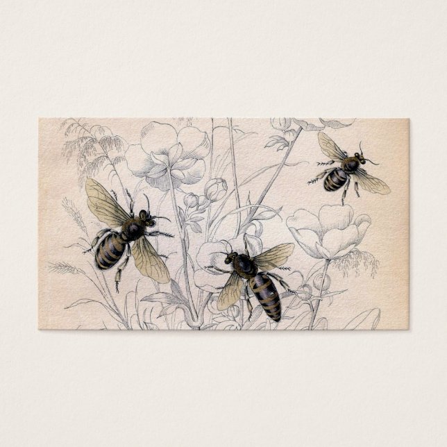Vintage Honey Bee Art Print (Front)