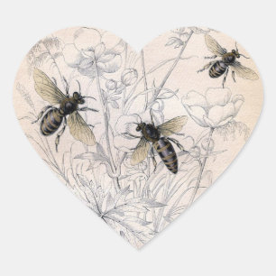 Vintage Honey Bee Art Print Heart Sticker