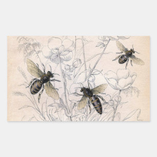 Vintage Honey Bee Art Print Rectangular Sticker