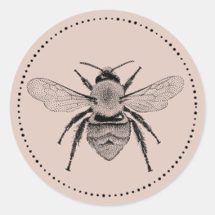 Vintage Honey Bee illustration Blush Pink Classic Round Sticker