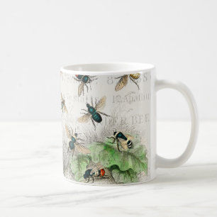 Vintage Honey Bee Queen Bee Entomology Botanical Coffee Mug