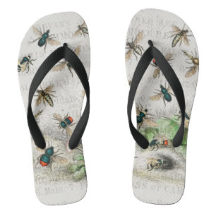 Vintage Honey Bee Queen Bee Entomology Botanical Flip Flops