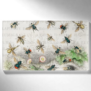 Vintage Honey Bee Queen Bee Entomology Botanical Name Tag