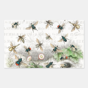 Vintage Honey Bee Queen Bee Entomology Botanical Rectangular Sticker