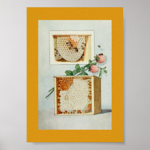 Vintage Honey Comb, Bees, Beeswax, and Pink Clover Poster