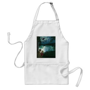 Vintage Honeymoon Love, Newlyweds at Niagara Falls Standard Apron