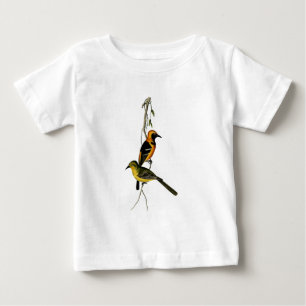 Vintage Hooded Oriole Bird Baby T-Shirt