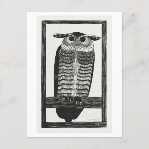 Vintage Horned Owl Illustration Postcard