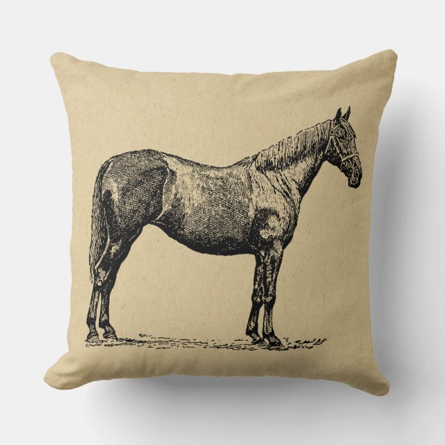 Vintage Horse Art Illustrated Equestrian Art Cushion (Front)