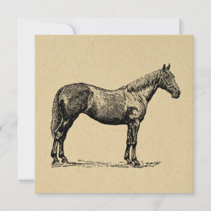 Vintage Horse Art Illustrated Equestrian Art Holiday Card