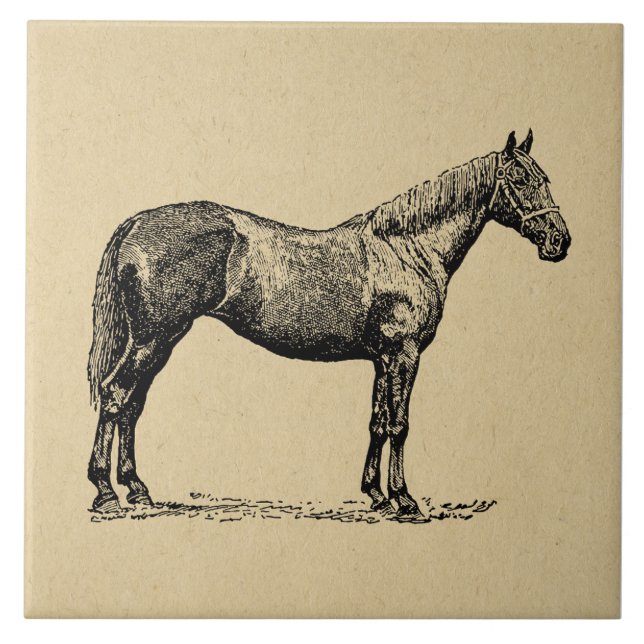 Vintage Horse Art Illustrated Equestrian Art Tile (Front)
