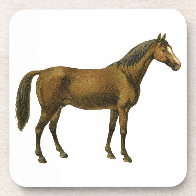 Vintage Horse Coaster (Front)