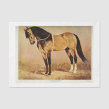 Vintage Horse Ephemera Decoupage