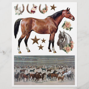 Vintage Horse Ephemera from the Victorian-era