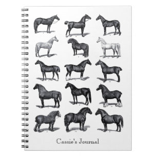 Vintage horse equestrian rider personalised notebook