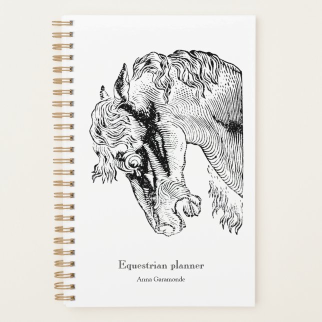 Vintage horse equestrian success planner (Front)