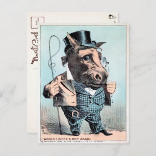 Vintage Horse Man Postcard 