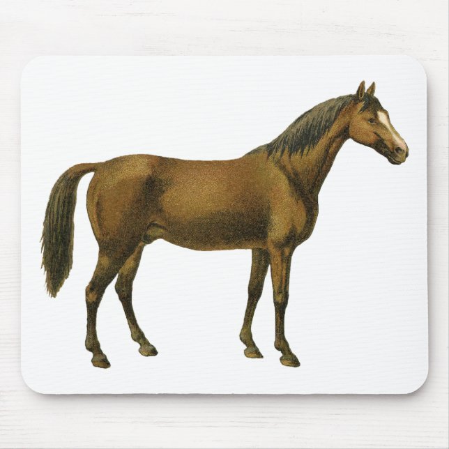 Vintage Horse Mouse Mat (Front)