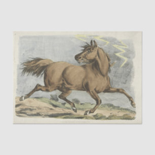 Vintage Horse party or craft Tissue Paper