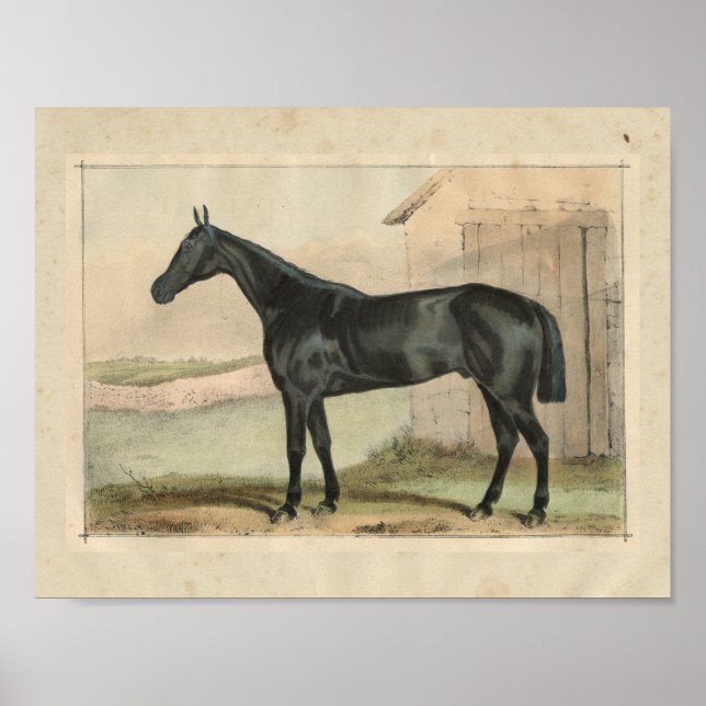 Vintage Horse Print 1873 Glengarry (Front)