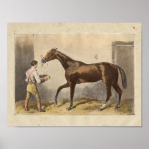 Vintage Horse Print 1873 Thormanby