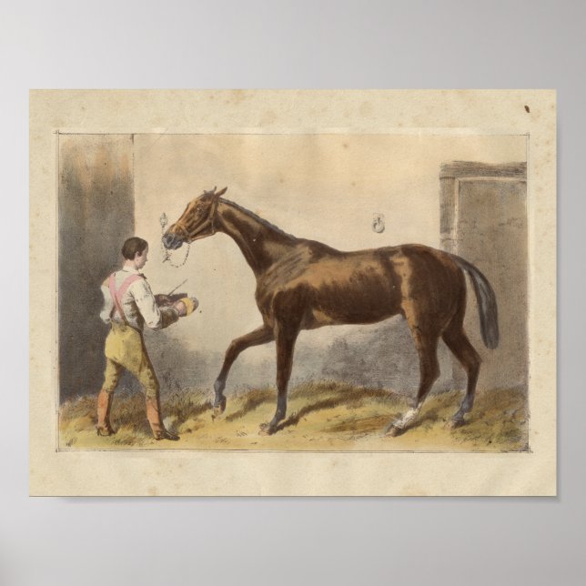 Vintage Horse Print 1873 Thormanby (Front)