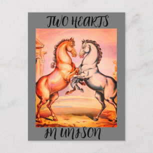 Vintage Horse Romantic Postcard
