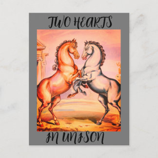 Vintage Horse Romantic Postcard
