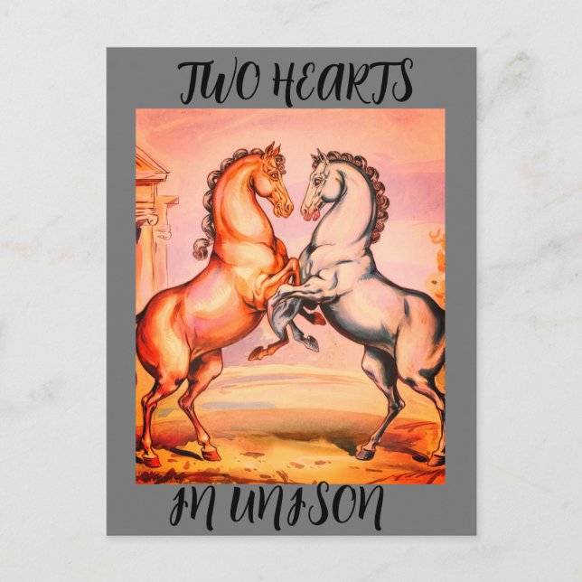 Vintage Horse Romantic Postcard (Front)
