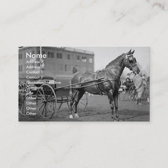 Vintage Horse Show Business Card (Front)