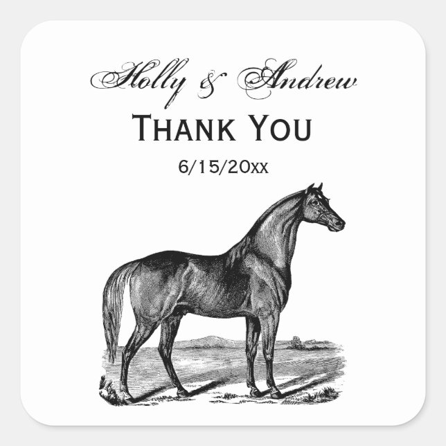 Vintage Horse Standing Square Sticker (Front)