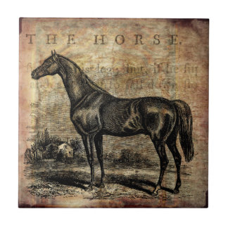 Vintage Horse Thoroughbred and Arabian Horses Tile
