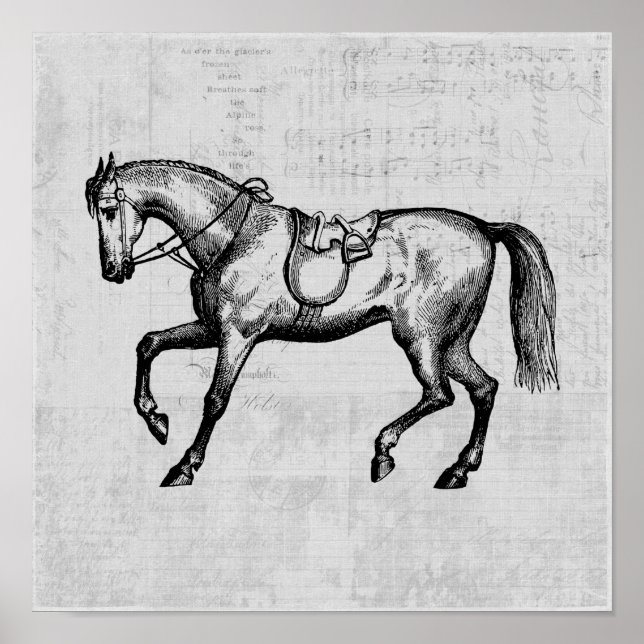 Vintage Horse with Music Paper Background Poster (Front)