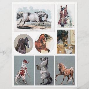 Vintage Horses from Victorian-era Postcards