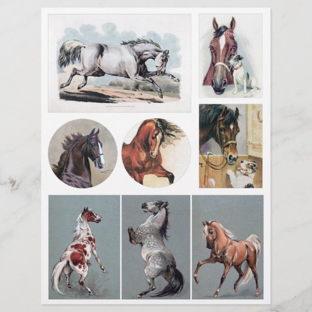 Vintage Horses from Victorian-era Postcards (Front)